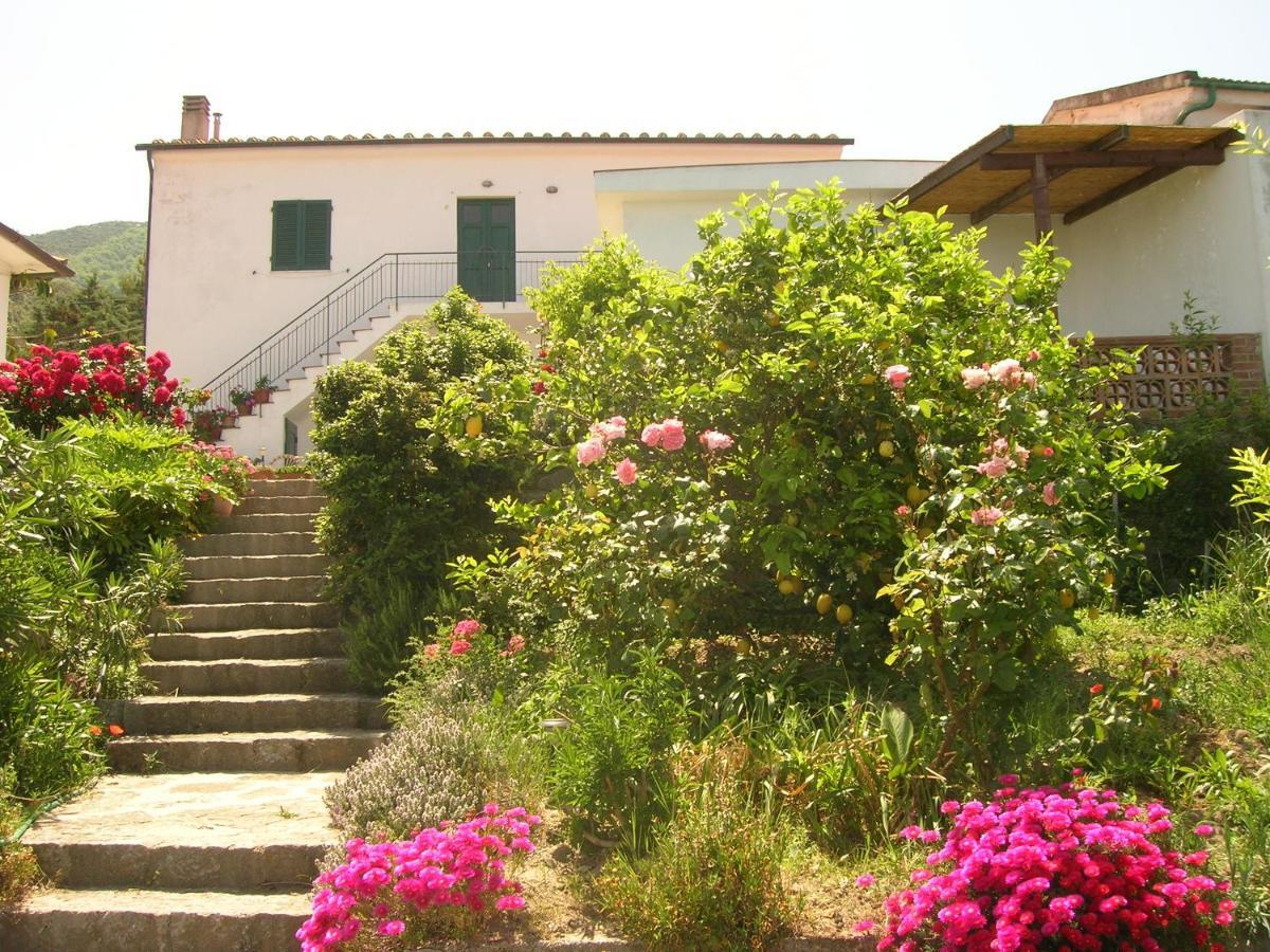 شقة Casa Vigna Maria Zanca المظهر الخارجي الصورة